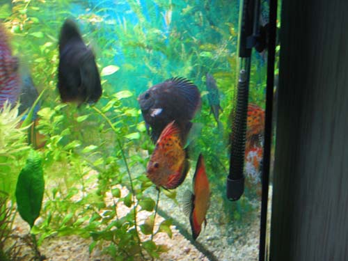 IMG_0044.jpg