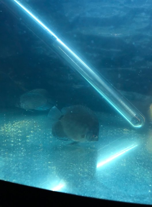 r2.jpg