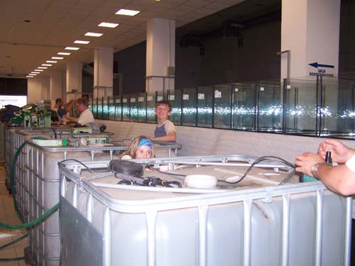 Kraków 2006 033.jpg