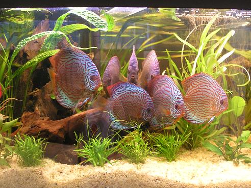 Kopia Kraków 2006 007.jpg