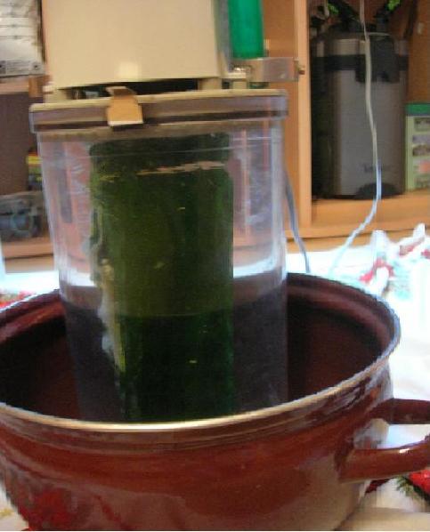 DSCN2146.JPG