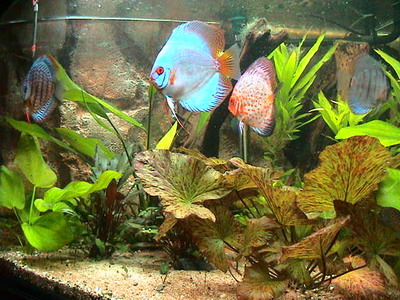 heute 27.02.05 002_Größenveränderung.jpg