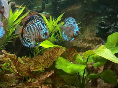 heute 27.02.05 005_Größenveränderung.jpg