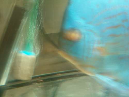 paleta 2 10.12.jpg