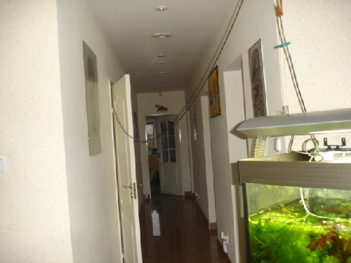 DSC05873.JPG
