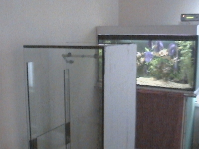 DCAM0017.JPG