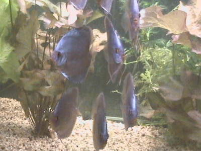DCAM0023.JPG