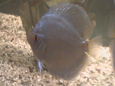 DCAM0022.JPG