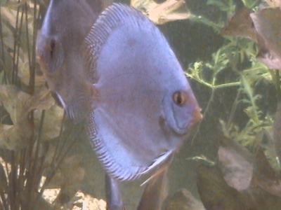 DCAM0020.JPG