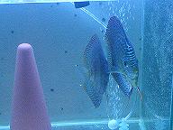 DSC00064.JPG