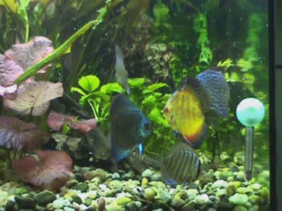 Maluchy przy obiedzie.jpg