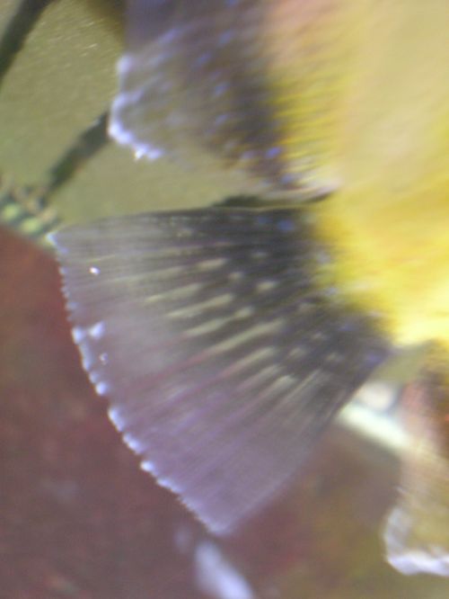 DSCN2188.jpg