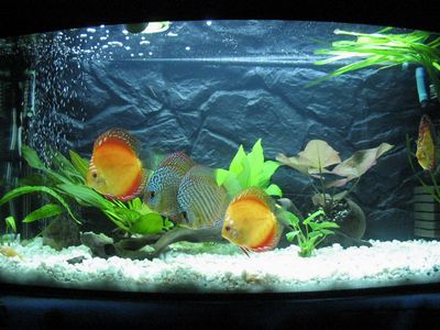 tn_20.03 009 (11).jpg