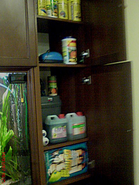 DSC00214.JPG
