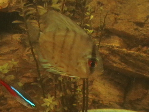 IMGA0200.JPG
