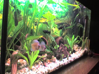25-02-07_1859-be.jpg