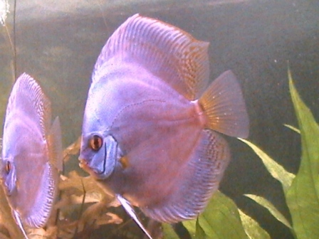 DCAM0044.JPG