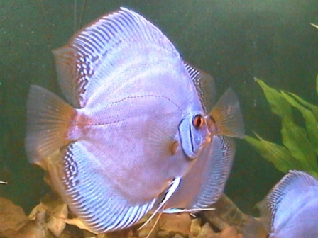 DCAM0040.JPG