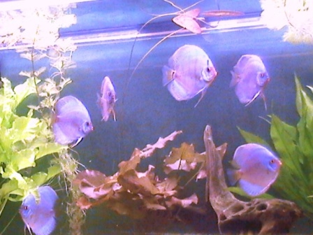 DCAM0035.JPG