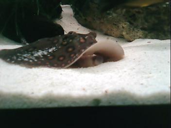 IMG022.JPG
