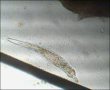 Obraz 024.jpg