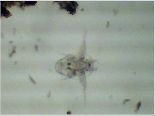 Img0038.JPG