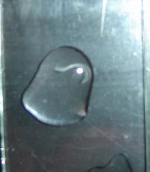 DSC05508.JPG