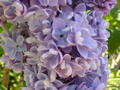 DSC00195_Bildgröße ändern.JPG