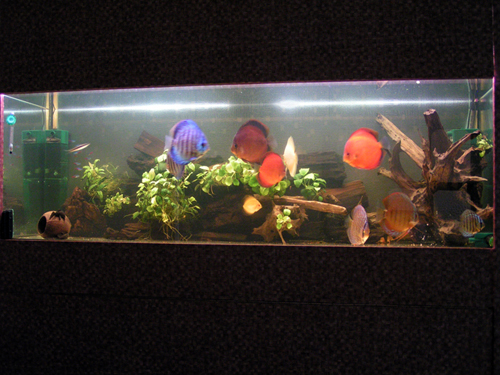 PICT0088.JPG