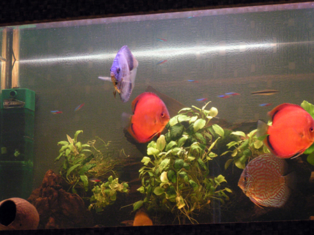 PICT0087.JPG