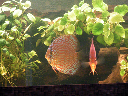 PICT0086.JPG