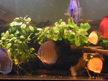 PICT0094.JPG