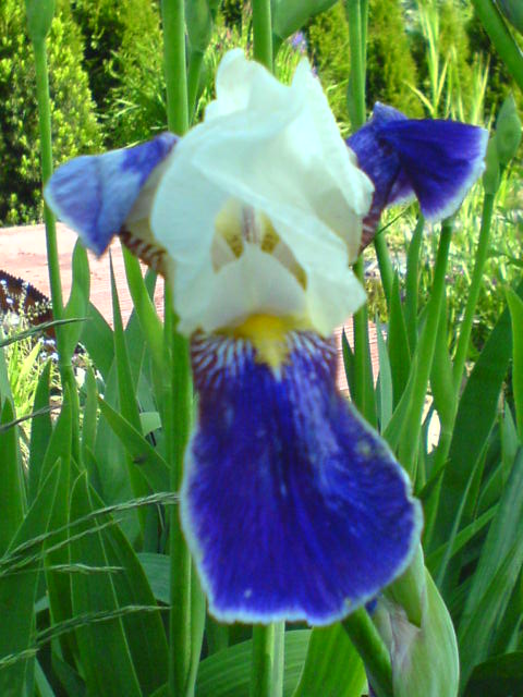 DSC00244.JPG