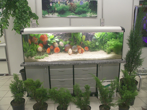 pict0050.jpg
