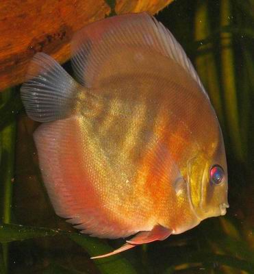 Zmiana rozmiaruco to za odmiana 1.jpg