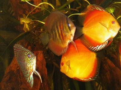 Zmiana rozmiaruco to za odmiana 2 .jpg