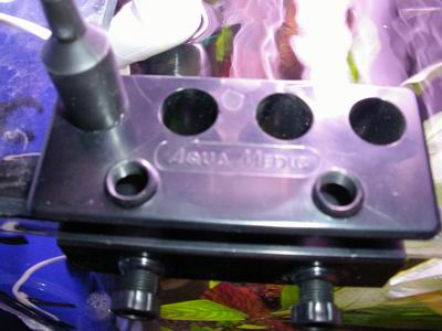 2005-05-11 statyw 002 1.jpg