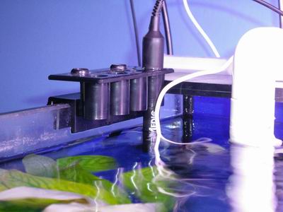 2005-05-11 statyw 003 1.jpg