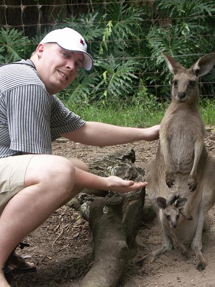 2_cangaroo_brown_nie_je.jpg