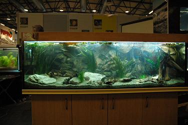 DSC_2876.JPG