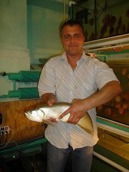 arowana i pracownik.jpg