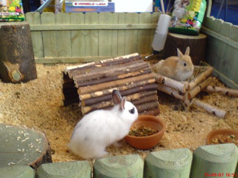 DSC00355.JPG