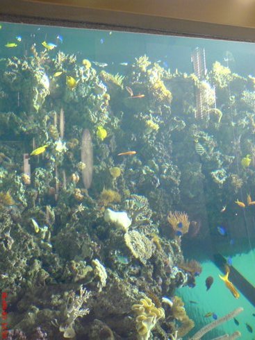 DSC00412.jpg