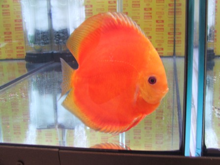 Dscf6579.jpg