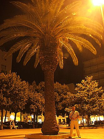 palma.jpg