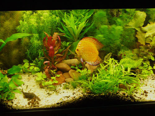 P1000868.JPG