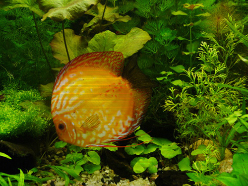 P1000867.JPG