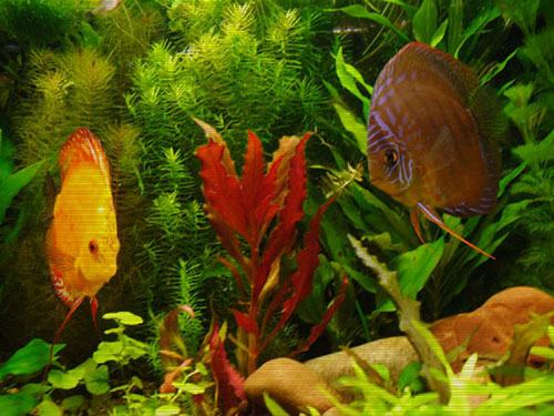 P1010021.JPG
