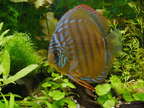 P1010015.JPG