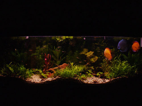 P1000895.JPG